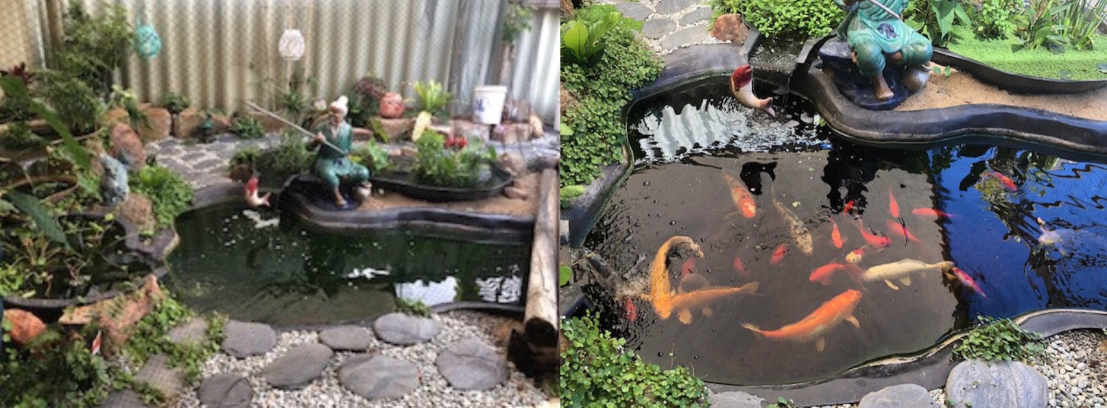 Large Fishpond/Water Feature Pack - Splosht South Africa