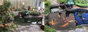 Large Fishpond/Water Feature Pack
